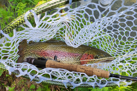 Anchorage: Full-day guided fly-fishing with Hotel Pickup
