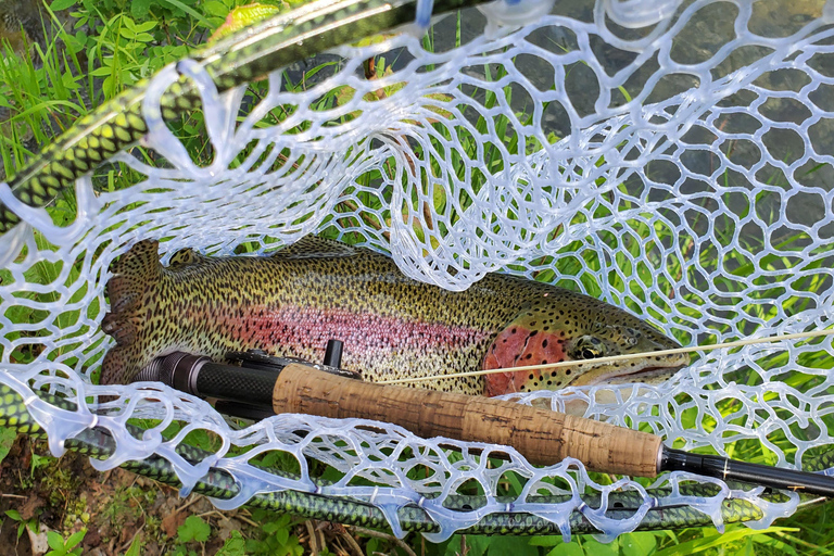 Anchorage: Full-day guided fly-fishing with Hotel Pickup