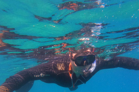 Chania: Båttur med guidad snorklingsturChania: Båttur med transfer och guidad tur med snorkling