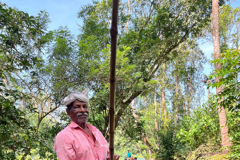 Kerala: Backwater Village Punting Boat Cruise with Lunch