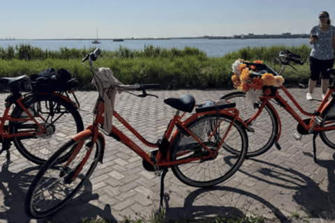 Amsterdam: E-Bike, Cheese, Windmill & Countryside Tour