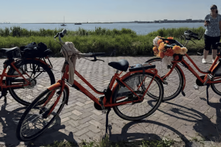 Amsterdam: E-Bike, Cheese, Windmill & Countryside Tour