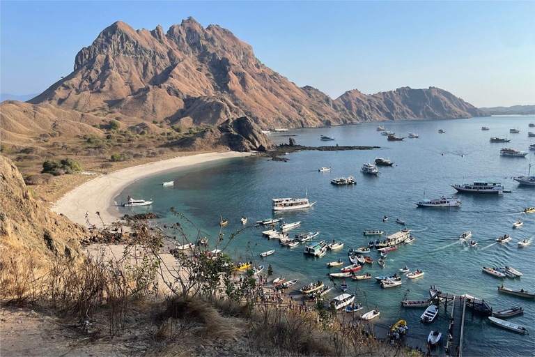 Labuan Bajo: Dagsutflykt med drakar &amp; öluffning med alla avgifter