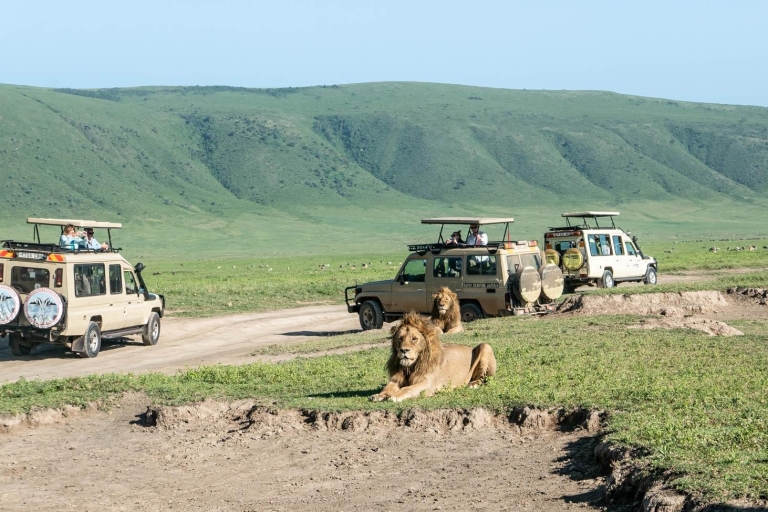 6 Days Tanzania culture and safari from Moshi From Arusha