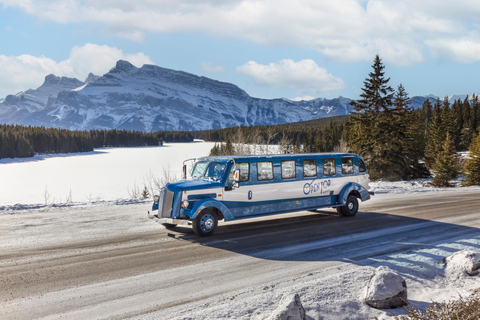 Banff Winter Tour with Dinner and Nightrise at Banff Gondola