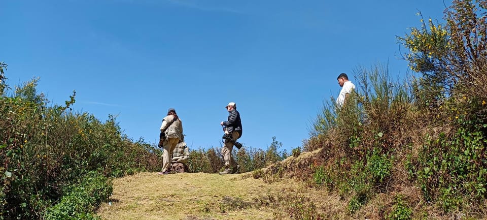 Munnar Birding and Bird Photography Trip | GetYourGuide