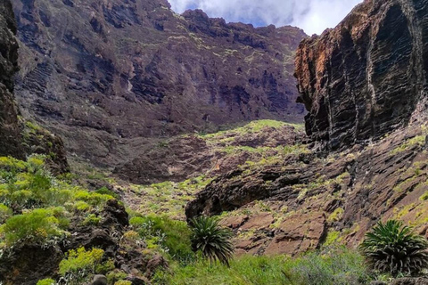 Sentier des gorges de Masca : Randonnée guidée