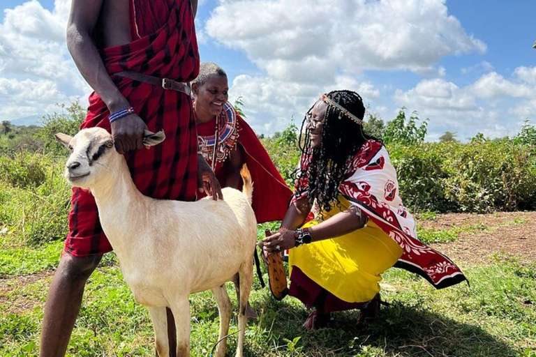 EXCURSION D&#039;UNE JOURNÉE DANS UN VILLAGE MASAI