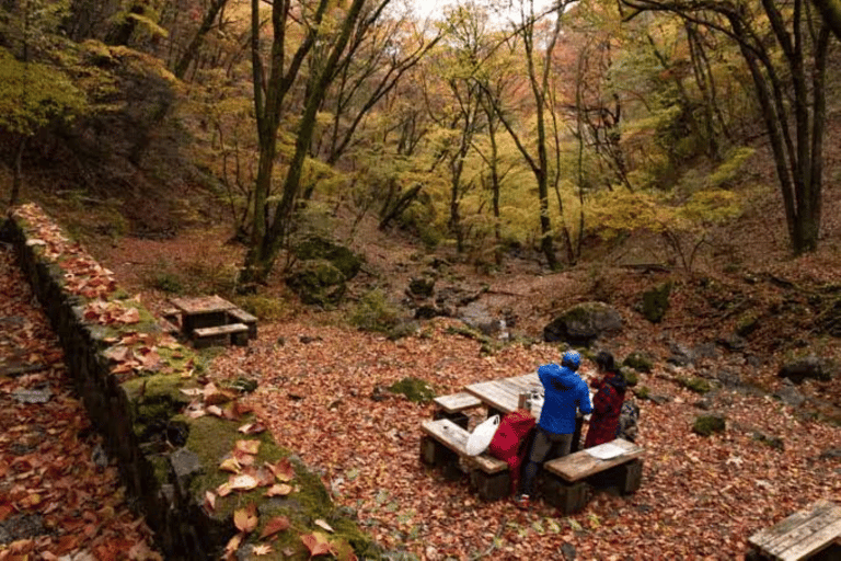 Hidden Tokyo: Nature, Sake & Little Edo Escape