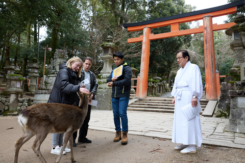 Nara: Highlights of Nara in 3 hours - Private Tour