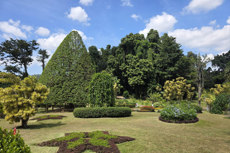 The Best Kandy Tuk-Tuk city Tour with a Professional Guide