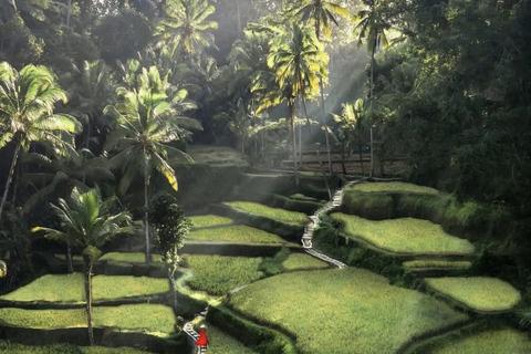 Ubud 3 Hidden Waterfalls & Tegalalang Rice Terrace Tour