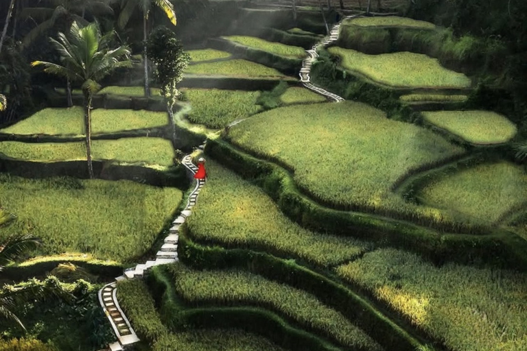 Ubud 3 Hidden Waterfalls & Tegalalang Rice Terrace Tour