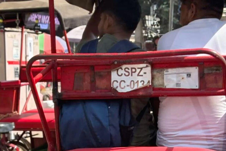 Delhi: tour mattutino spirituale, visita ai templi e colazione