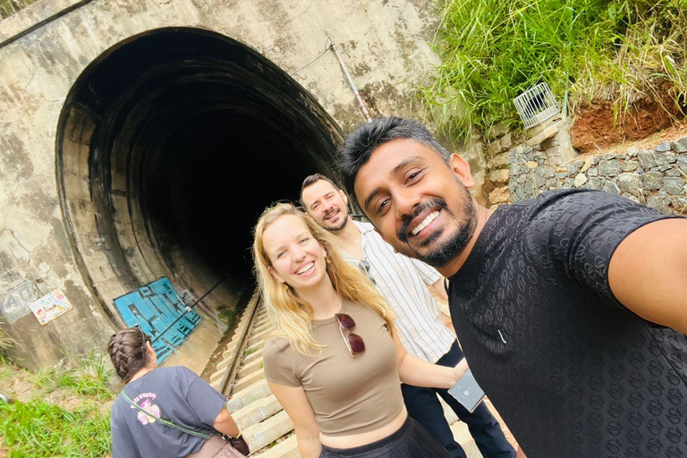 Kandy : Nanu Oya - Ella Train Ride With Private Car & Guide