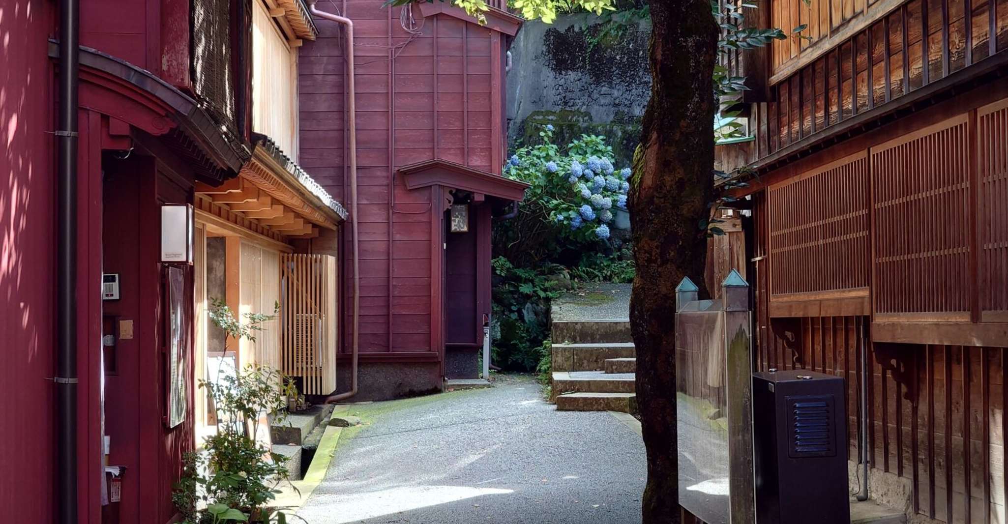 Kanazawa, Samurai, Matcha, Giardini e Geisha Full-Day Tour - Hizvo