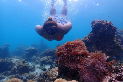 Phuket: Excursión en catamarán rápido por Phi Phi y Maya Bay