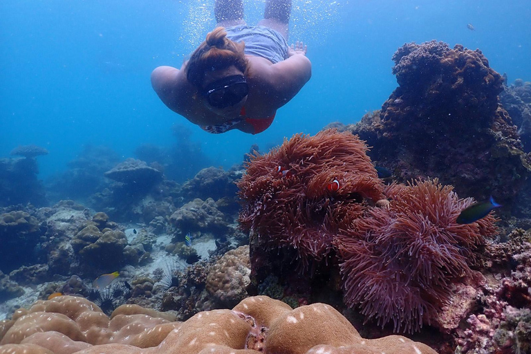 Phuket: Excursión en catamarán rápido por Phi Phi y Maya Bay