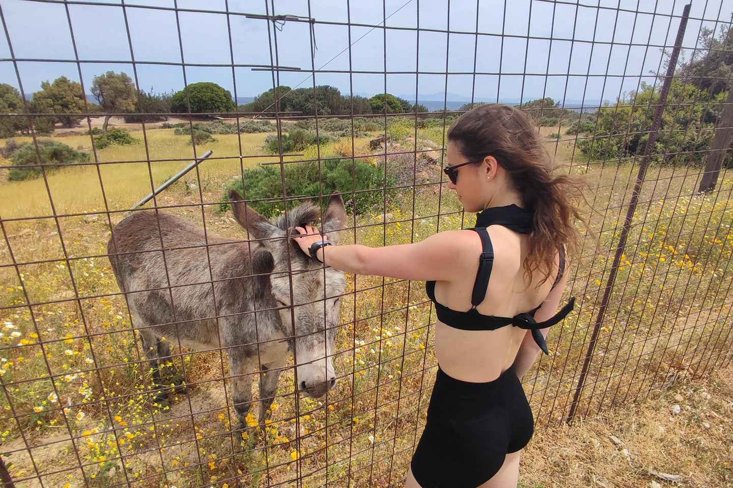 Naxos: Explore the cave of the unspoiled south-east coast!