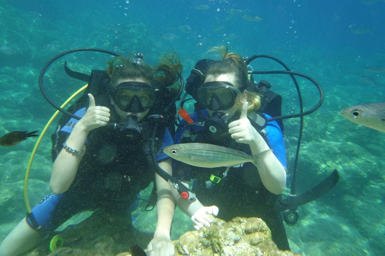 Marmaris: Full-Day Scuba Diving Trip with Lunch & Pickup Scuba Diving Experience (Meeting Point)
