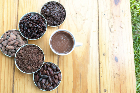 COCOA WORKSHOP AT CASA JOCOLATE