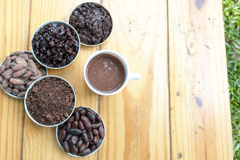 COCOA WORKSHOP AT CASA JOCOLATE