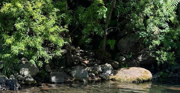 Madeira: Emerald Forest 4x4 Tour with Waterfalls