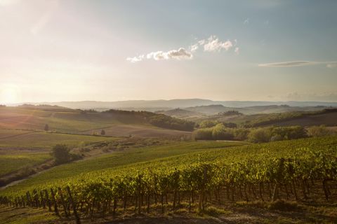 Tour de vinhos Chianti Clássico e Super Toscano