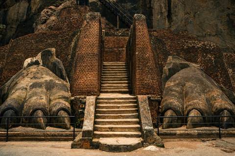 From Colombo: Sigiriya, Dambulla & Minneriya Safari Day Tour