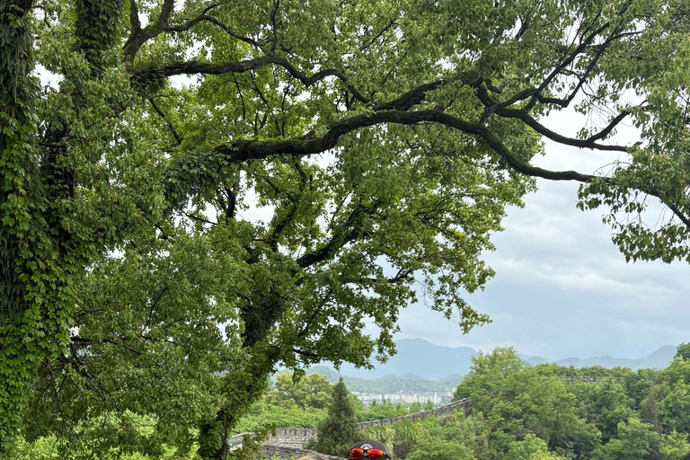 Hangzhou: Jiangnan Great Wall Day Trip by Bullet Train