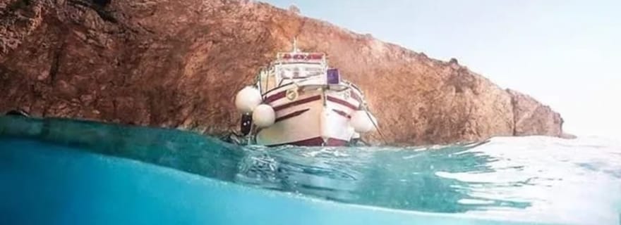 3,5h Wild Bays : Nage et plongée avec le Capitaine Bobo (Public)