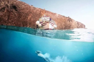 3,5h Wild Bays: Swim & Snorkel with Capt. Bobo (Public)
