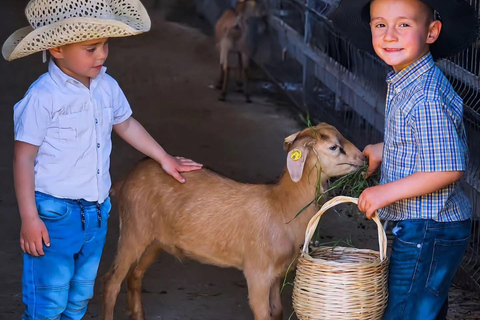 From Durres: Farmland, Vineyard &amp; Wine Tasting Tour