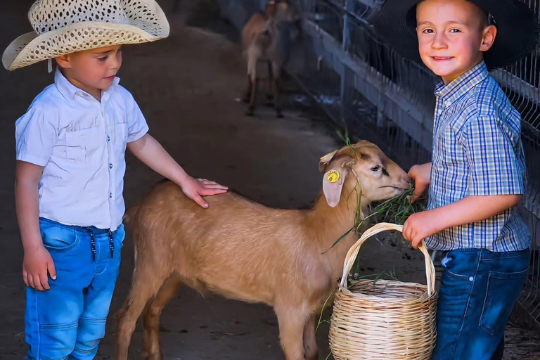 From Durres: Farmland, Vineyard &amp; Wine Tasting Tour