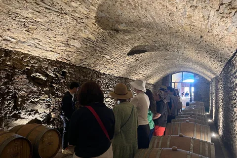 Florencia o Bolonia: 3 visitas a bodegas de Chianti con almuerzo