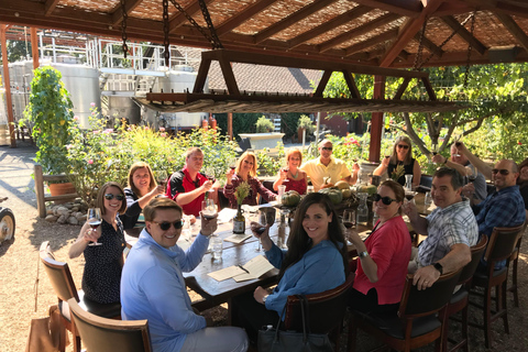 Sonoma Valley: Guided Winery Tour with Picnic Lunch