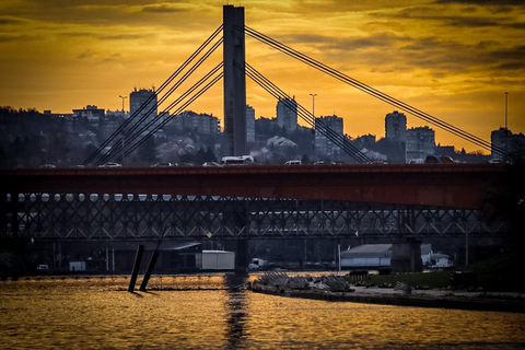 Cruise in Belgrade: Sava and Danube River Cruise with Views