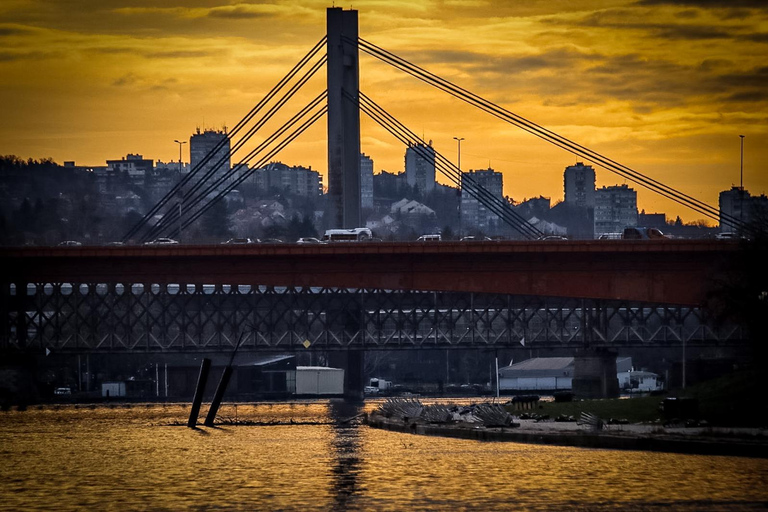 Cruise in Belgrade: Sava and Danube River Cruise with Views
