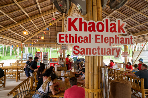 Khaolak Hightlight Jungle Trekking with Eco Guide Day Tour