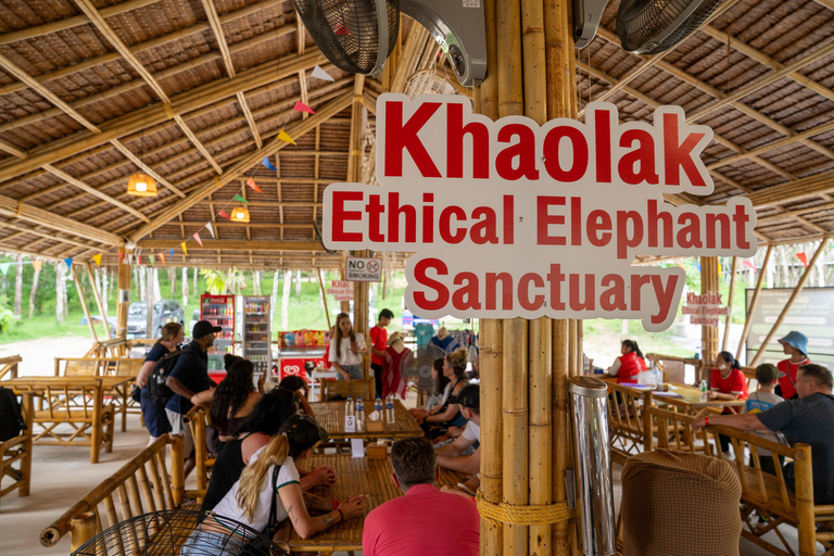 Khaolak Hightlight Jungle Trekking with Eco Guide Day Tour