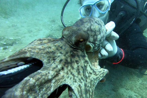 Heraklion: Lección de buceo para principiantes con instructor PADIInmersión para principiantes en la bahía de Agia pelagia - Sin traslado