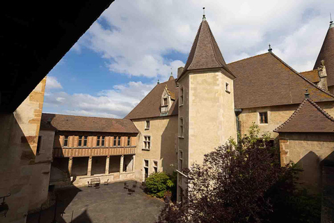 Lyon: Beaujolais Wine Tour with Tastings and Castle Visits