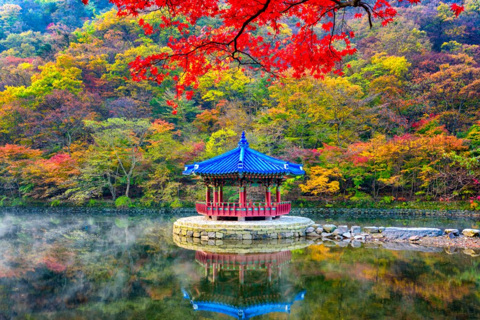 Naejangsan Autumn Foliage Day Tour from Seoul and Busan Group tour, departure from Haeundae Station Exit 5 (Busan)