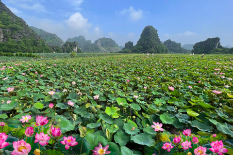 From Hanoi: Ninh Binh – Bai Dinh & Trang An & Mua Cave Tour Private Tour