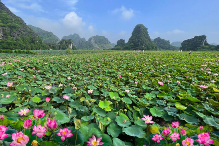 From Hanoi: 2-Day Ninh Binh, Hoa Lu, and Trang An Tour