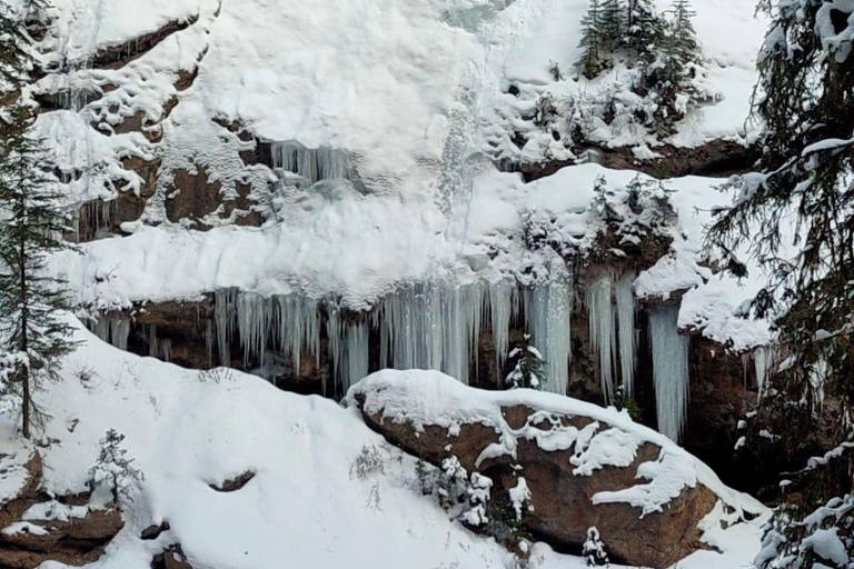 Lake Louise, Johnston Canyon Bow Falls Surprise Corner Tour