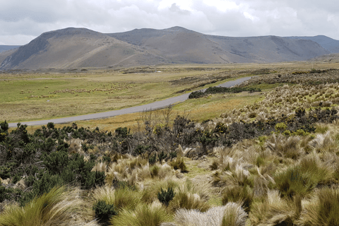 Aventure d&#039;observation du condor : Circuit au départ de Quito