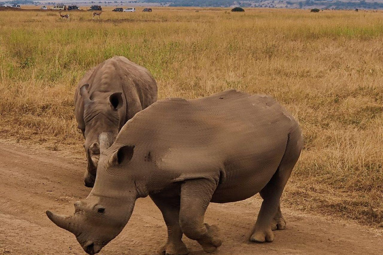 Nairobi National Park: Early Morning or afternoon adventure Early morning game drive in a Landcruiser JEEP