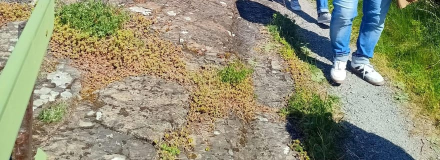 Visite privée des îles d'Oslo