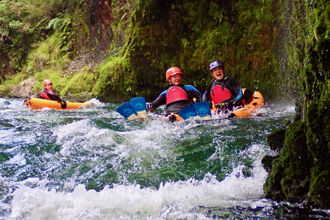 Thrilling Riverbug Adventure on the Rangitāiki River
